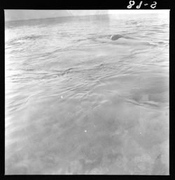 Marineland shot from portholes