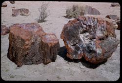 In Petrified Forest east of Holbrook, Ariz.