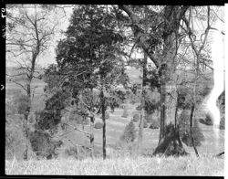 View of Vicksburg Military cemetery
