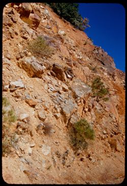 Rock face of highway wall above Feather river canyon near Big Bend. Butte county, California.