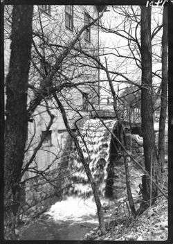 Same as no. 30, through trees (Water wheel in action, Greensboro mill)