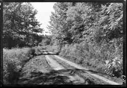Road back of gravel pit, near High Rock mill site, Martinsville