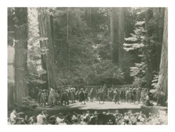 Photograph of outdoor theatrical performance