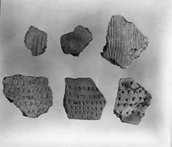 Early Woodland Sherds