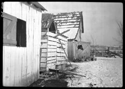 Barn lot view, Patterson home, horse and chickens