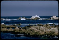 High surf Point Pinos Monterey peninsula