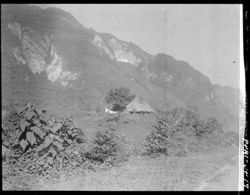 Thatched hut in tropics, mountain background, on way to Valles
