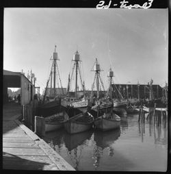 Boats at Gloucester