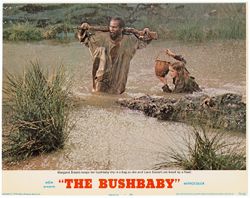 The Bushbaby lobby card
