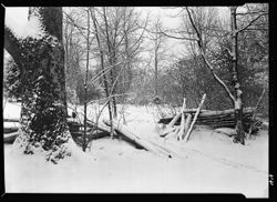 Rail fence entrance from Snodgrass's to Wells cabin