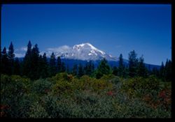 Mount Shasta, elevation: 14161 ft. View from south.