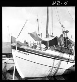 Boats at Tarpon Springs