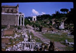 The Forum ROME
