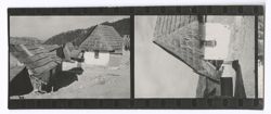 Item 0296. Two contact prints on a strip.