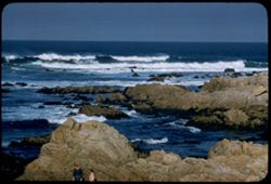 Morning rollers Point Pinos Monterey peninsula
