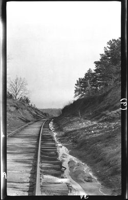 familiar route, Yadkin Valley RR after rain, Greensboro, N.C., April 1906, air fine, trees scented