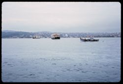The Bosporus