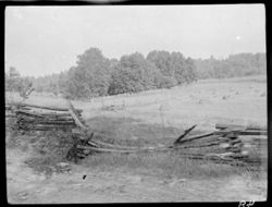 Hay field, Cliff Road