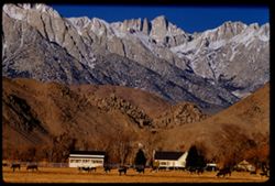 Mount Whiney early morning from U.S. 6 two miles south of Lone Pine California EK CL