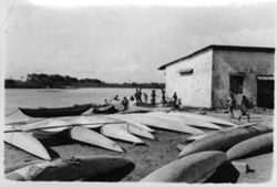 Fanti fishing canoes