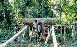 Men rolling cut log on hand-crafted frame