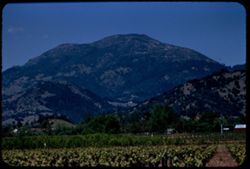 Mt. St. Helena from a mile south of Calistoga EK CL