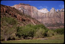 West Temple and neighbors from floor of canyon Zion Nat'l Park