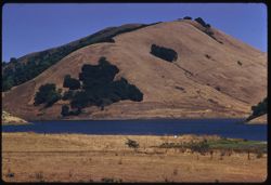 Hill above Novato Reservoir Marin county