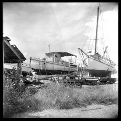 Boats at Tarpon Springs