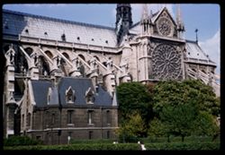 Notre Dame de Paris from left bank