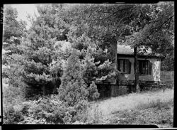 Side view Staley home, Martinsville, showing shrubbery