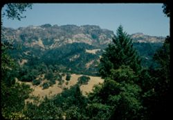 Mountain ridge n.e. of Calistoga