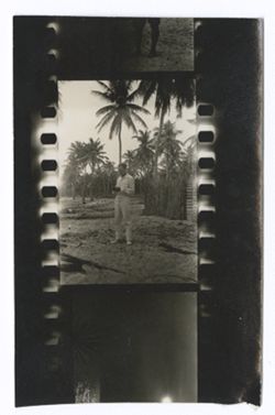 Item 0530a. Alexandrov and another man (Kimbrough or Best Maugard?) standing in a sandy area with palm trees in background. One complete and two partial prints on a strip.