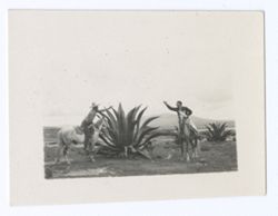 Item 1155. Two unidentified men on horseback on either side of large maguey plant. Man at left is also seen in Item 1153 above and Items 1156-1158a below.