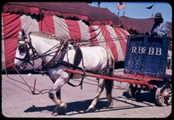 In the backlot of the Circus. Chicago.