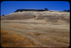 A low butte in Butte county between Oroville and Chico, California.