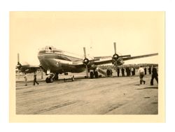 Plane