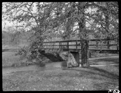 Wooden bridge, Cherokee Park