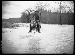 Fording White River overflow at Nashville with mule