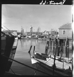 Boats at Gloucester