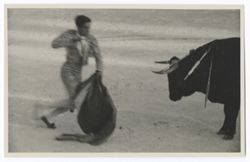 Item 0128. Liceaga approaching bull for the kill, sword in right hand, cape in left.
