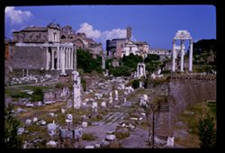 The Forum ROME