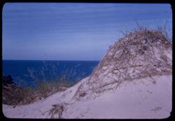 Knob of high dune over looking Lake Mich. Dune Acres,Ind