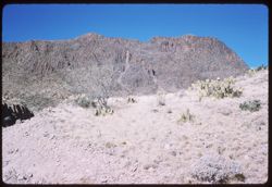 View northward from Gates Pass in Tucson Mtns.