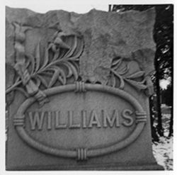 Lily - Williams, Family