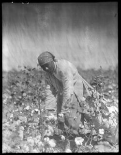 Woman cottonpicker in Mississippi