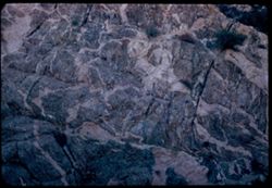 Striated rock in face of cut along Angeles Crest Highway