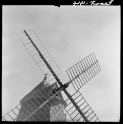 Dutch mill on road to Provincetown