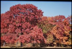 Autumn colors along US 40 Eastern Ohio