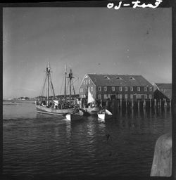 Provincetown harbor